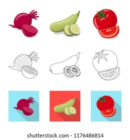 Vector design of vegetable and fruit sign. Set of vegetable and vegetarian stock symbol for web.