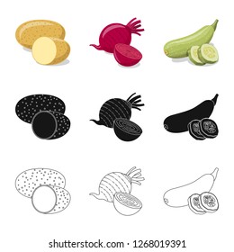 Vector design of vegetable and fruit sign. Set of vegetable and vegetarian stock symbol for web.