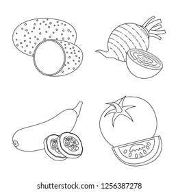 Vector design of vegetable and fruit symbol. Collection of vegetable and vegetarian vector icon for stock.