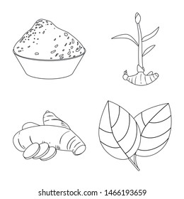 Vector design of vegetable and natural icon. Collection of vegetable and ingredient stock symbol for web.