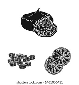 Vector design of vitamin and nature icon. Collection of vitamin and dried stock vector illustration.