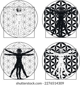 Vector design of Vitruvian Man by Leonardo da Vinci with flower of life background