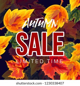 Vector design of vivid banner promoting autumn sale with bright leaves on background