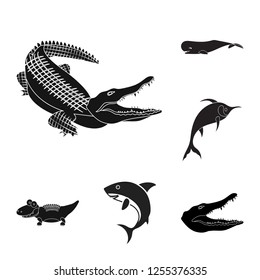 Vector design of water and drop symbol. Collection of water and splash stock vector illustration.