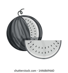 Vector design of watermelon sign. Collection of watermelon and fresh stock symbol for web.
