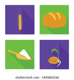 Vector design of wheat and corn icon. Collection of wheat and harvest vector icon for stock.