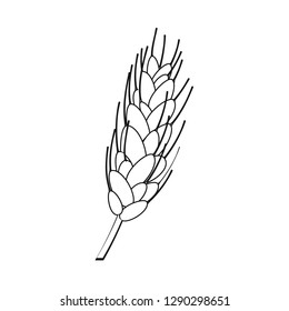 Vector design of wheat and corn sign. Collection of wheat and harvest vector icon for stock.