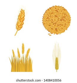 Vector design of wheat and corn sign. Set of wheat and harvest stock vector illustration.
