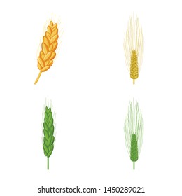 Vector design of wheat and corn sign. Collection of wheat and harvest stock vector illustration.