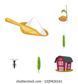Vector design of wheat and corn symbol. Set of wheat and harvest stock vector illustration.