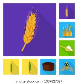 Vector design of wheat and corn symbol. Collection of wheat and harvest stock vector illustration.