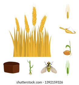 Vector design of wheat and corn symbol. Set of wheat and harvest stock symbol for web.