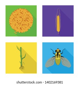 Vector design of wheat and corn symbol. Collection of wheat and harvest vector icon for stock.