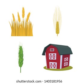 Vector design of wheat and corn symbol. Set of wheat and harvest vector icon for stock.