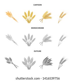 Vector design of wheat and stalk icon. Collection of wheat and grain vector icon for stock.