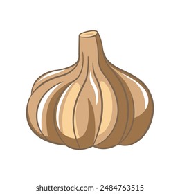 Vector Design of Whole Raw Garlic Spice Food Vegetable