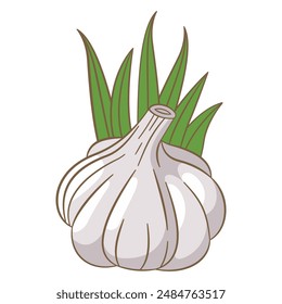 Vector Design of Whole White Garlic Spice Food Vegetable with Green Leaves