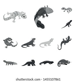 Vector design of wild and exotic symbol. Set of wild and fauna stock symbol for web.