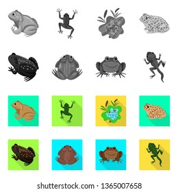 Vector design of wildlife and bog icon. Set of wildlife and reptile stock vector illustration.