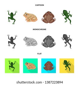Vector design of wildlife and bog icon. Set of wildlife and reptile stock vector illustration.
