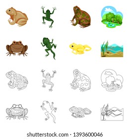 Vector design of wildlife and bog icon. Collection of wildlife and reptile stock symbol for web.