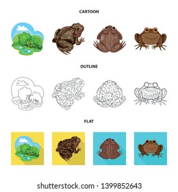 Vector design of wildlife and bog icon. Set of wildlife and reptile stock vector illustration.