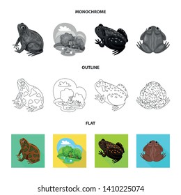 Vector design of wildlife and bog icon. Set of wildlife and reptile stock symbol for web.