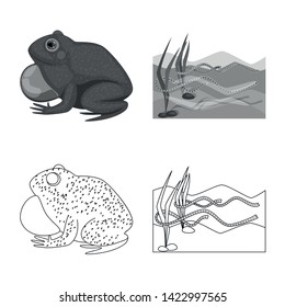 Vector design of wildlife and bog icon. Collection of wildlife and reptile stock symbol for web.