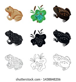 Vector design of wildlife and bog icon. Set of wildlife and reptile stock vector illustration.