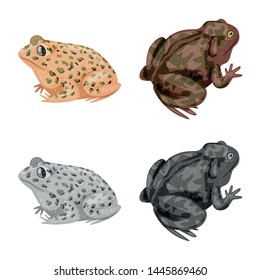 Vector design of wildlife and bog icon. Set of wildlife and reptile vector icon for stock.