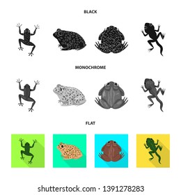 Vector design of wildlife and bog logo. Set of wildlife and reptile stock vector illustration.