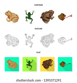 Vector design of wildlife and bog logo. Set of wildlife and reptile stock symbol for web.