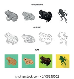 Vector design of wildlife and bog logo. Collection of wildlife and reptile stock vector illustration.