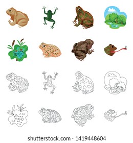 Vector design of wildlife and bog logo. Collection of wildlife and reptile stock symbol for web.