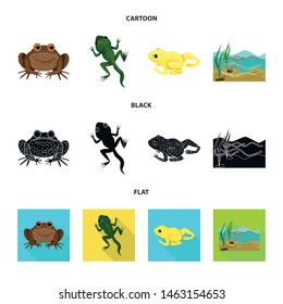 Vector design of wildlife and bog logo. Collection of wildlife and reptile stock vector illustration.