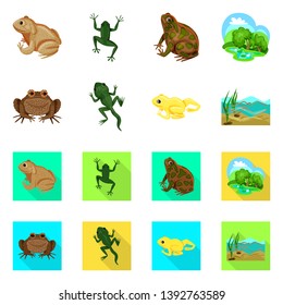 Vector design of wildlife and bog sign. Set of wildlife and reptile stock symbol for web.