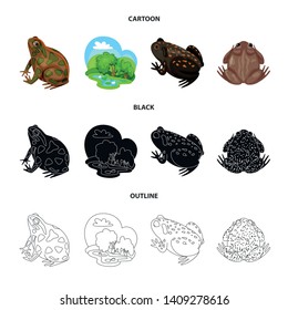 Vector design of wildlife and bog sign. Set of wildlife and reptile vector icon for stock.