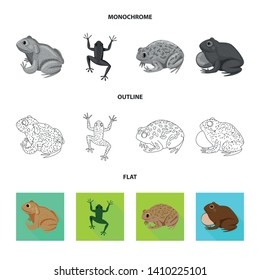 Vector design of wildlife and bog sign. Set of wildlife and reptile stock vector illustration.