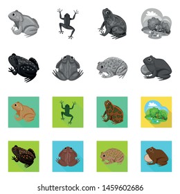 Vector design of wildlife and bog sign. Collection of wildlife and reptile stock vector illustration.