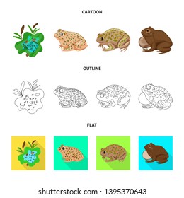 Vector design of wildlife and bog symbol. Set of wildlife and reptile stock vector illustration.