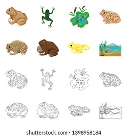Vector design of wildlife and bog symbol. Set of wildlife and reptile vector icon for stock.