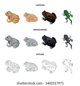 Vector design of wildlife and bog symbol. Collection of wildlife and reptile vector icon for stock.