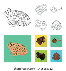Vector design of wildlife and bog symbol. Set of wildlife and reptile stock vector illustration.