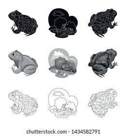 Vector design of wildlife and bog symbol. Collection of wildlife and reptile vector icon for stock.