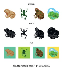 Vector design of wildlife and bog symbol. Collection of wildlife and reptile stock vector illustration.
