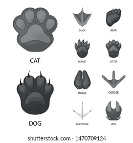 Vector design of wildlife and trace symbol. Set of wildlife and walk stock symbol for web.