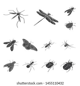 Vector design of wings and wing symbol. Collection of wings and fly vector icon for stock.