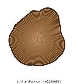 Vector design wooden cut isolated on white background. Age rings. Digital style clip art.