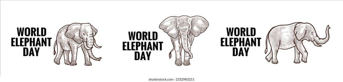 vector design for World Elephant Day is an international annual event on August 12, dedicated to the preservation and protection of the world's elephants
