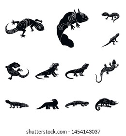 Vector design of zoo and environment icon. Set of zoo and reptile vector icon for stock.